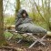 Survival Outdoor Schlafsackhülle gegen Feuchtigkeit für das Mumienmodell - unverzichtbar bei feuchten und regnerischen Bedingungen